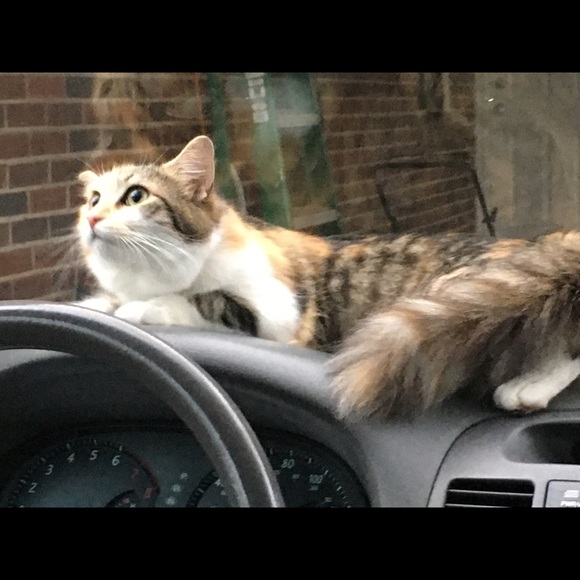 lunandshelby